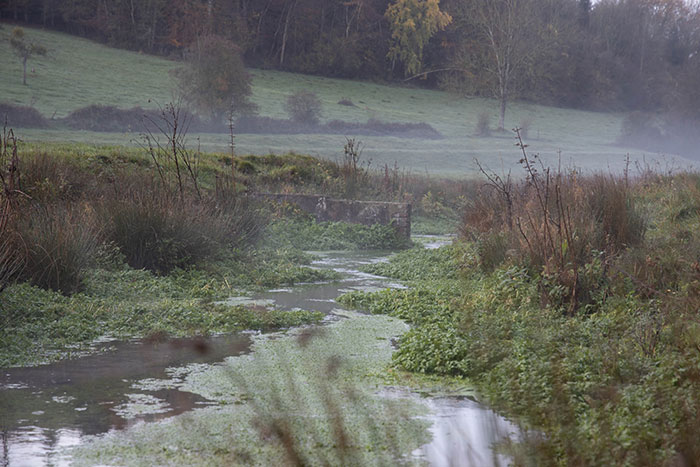 Domaine sauvage Le Costil - biodiversité