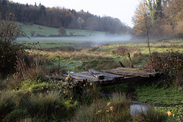 Domaine sauvage Le Costil - biodiversité